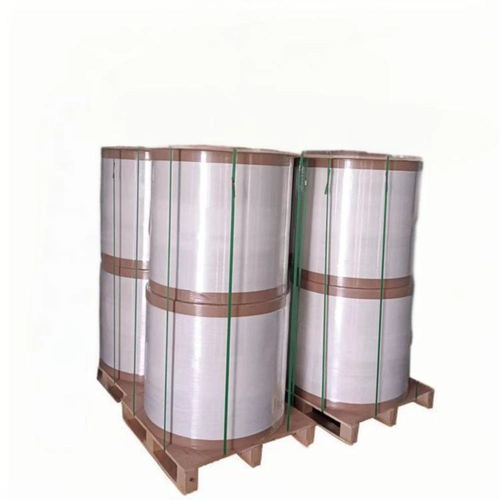 BPA Ücretsiz Yüksek Kaliteli Kasa Fişi Baskı Jumbo Rolls